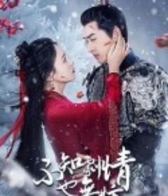 不知剧情也无妨            (2024)