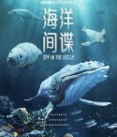 海洋间谍 Spy in the Ocean            (2023)