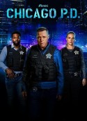 芝加哥警署 第十一季 Chicago P.D. Season 11            (2024)