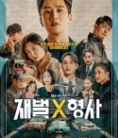 财阀X刑警 재벌X형사            (2024)