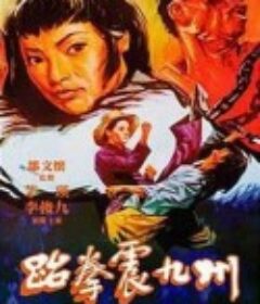 跆拳震九州            (1973)