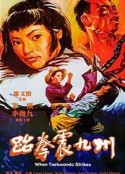 跆拳震九州            (1973)
