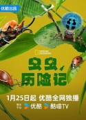 虫虫历险记 A Real Bug's Life            (2024)