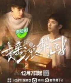 摇滚梨园            (2023)