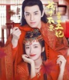 我才不要当王妃            (2023)