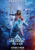 海王2：失落的王国 Aquaman and the Lost Kingdom            (2023)