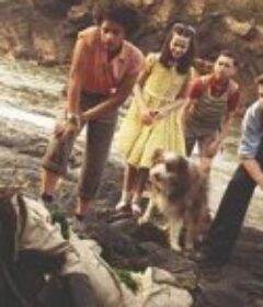 五伙伴历险记 The Famous Five            (2024)