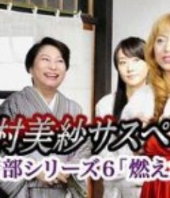 狩矢警部系列6 燃烧的新娘 狩矢警部シリーズ6 燃えた花嫁            (2009)