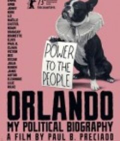 奥兰多：我的政治传记 Orlando, ma biographie politique            (2023)