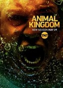 野兽家族 第三季 Animal Kingdom Season 3            (2018)