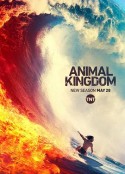 野兽家族 第四季 Animal Kingdom Season 4            (2019)
