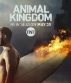 野兽家族 第二季 Animal Kingdom Season 2            (2017)