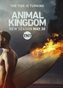 野兽家族 第二季 Animal Kingdom Season 2            (2017)