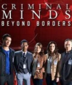 犯罪心理：穿越国界 第二季 Criminal Minds: Beyond Borders Season 2            (2017)