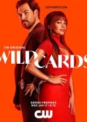 百变王牌 Wild Cards            (2024)