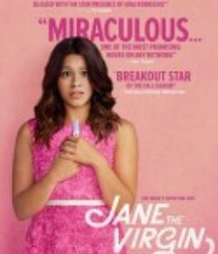 处女情缘 第一季 Jane the Virgin Season 1            (2014)