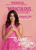 处女情缘 第一季 Jane the Virgin Season 1            (2014)