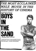 沙滩上的男孩 Boys in the Sand            (1971)