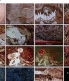 大西洋 Atlantyda            (1972)