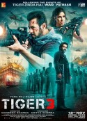 猛虎3 Tiger 3            (2023)