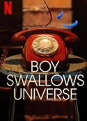 吞下宇宙的男孩 第一季 Boy Swallows Universe Season 1            (2024)
