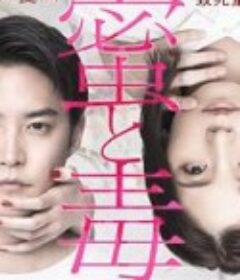 蜜与毒～逆恨的复仇 蜜と毒～逆恨みの復讐            (2024)