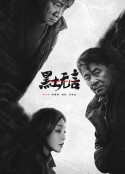 黑土无言            (2024)