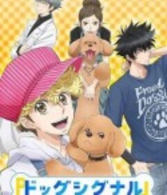 爱犬指令 ドッグシグナル            (2023)