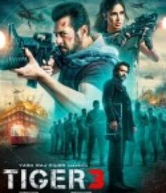 猛虎3 Tiger 3            (2023)
