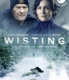 警探维斯廷 第一季 Wisting Season 1            (2019)