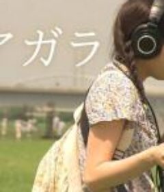 尼亚加拉 ナイアガラ            (2014)