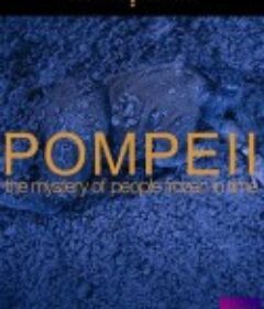 庞贝古城：揭秘被冻结于时光中的人 Pompeii: The Mystery of the People Frozen in Time            (2013)
