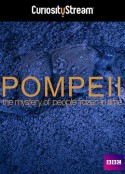 庞贝古城：揭秘被冻结于时光中的人 Pompeii: The Mystery of the People Frozen in Time            (2013)