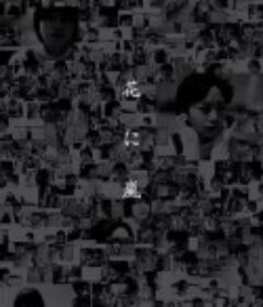 花经风雨 花に嵐            (2017)