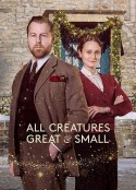 万物生灵：2023圣诞特别集 All Creatures Great and Small: On a Wing and a Prayer            (2023)