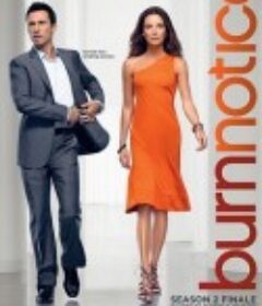 火线警告  第二季 Burn Notice Season 2            (2008)
