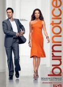 火线警告  第二季 Burn Notice Season 2            (2008)
