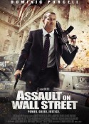 入侵华尔街 Assault on Wall Street            (2013)