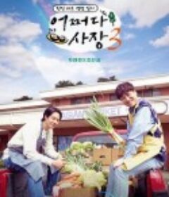 偶然的社长 第三季 어쩌다 사장 3            (2023)