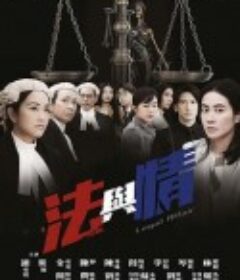 法与情 法與情            (2023)
