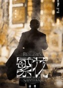 繁花            (2023)