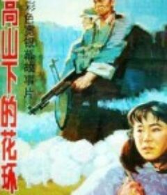 高山下的花环            (1984)