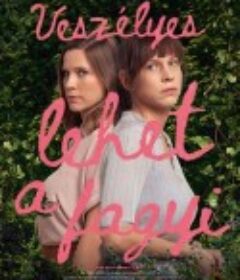 什么也不是的爱恋 Veszélyes lehet a fagyi            (2022)