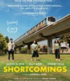 不足之处 Shortcomings            (2023)