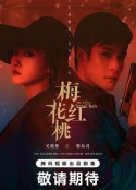 梅花红桃            (2023)