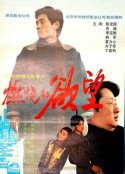 燃烧的欲望            (1996)