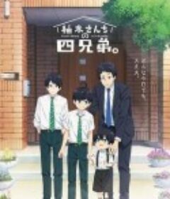 柚木家的四兄弟。 柚木さんちの四兄弟。            (2023)