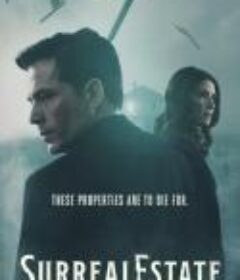 凶宅处理专员 第二季 SurrealEstate Season 2            (2023)