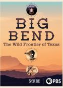 大本德：德克萨斯州的荒野边疆 第三十九季 Big Bend: The Wild Frontier of Texas     (2021)