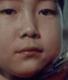 半边天：中国记怀 The Other Half of the Sky: A China Memoir            (1975)